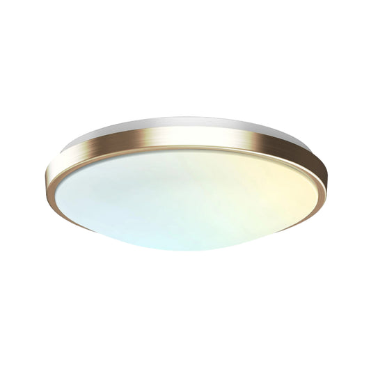 20-Inch Brushed Nickel Golden Dimmable Flush Mount Single Ring Ceiling Light – 2080 Lumens, 26W, 5 Adjustable Color Temperatures (2700K-5000K)