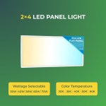 2×4 LED Panel Light 72K